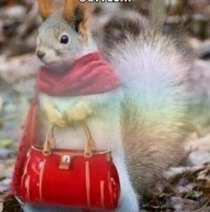 Meet your Posher, Rose